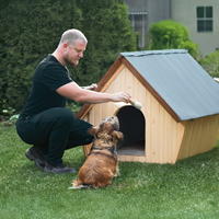 dog house assembly