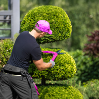 hedgerows, thuyas trimming