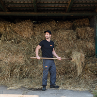 barn, homestead clearing out